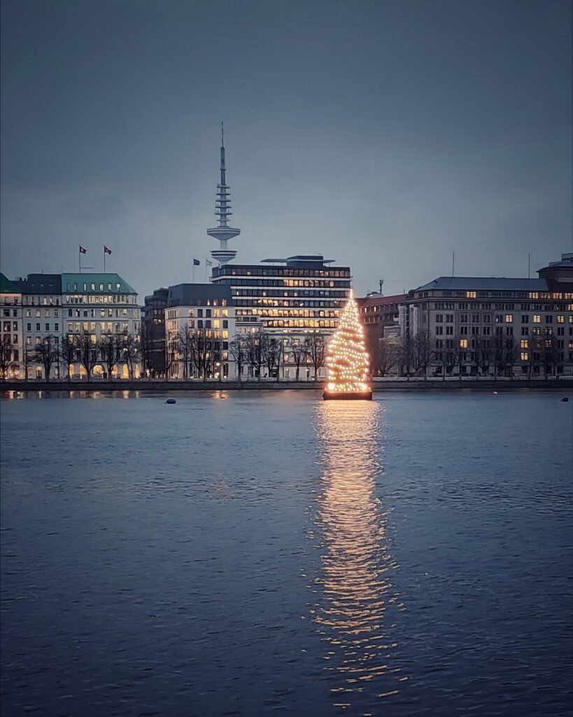 Alstertanne erstrahlt – die Weihnachtszeit ist da